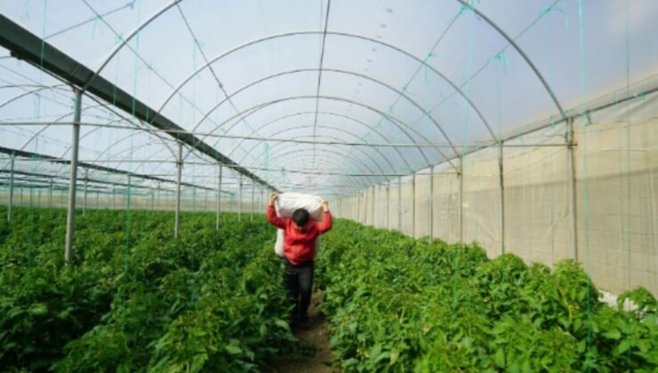 Adıyaman’da Sera Projesi için başvurular devam ediyor