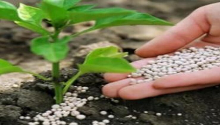 Tahıl Koridoru Modeli Hürmüz’e taşınabilir mi? “İstanbul formülü” masada